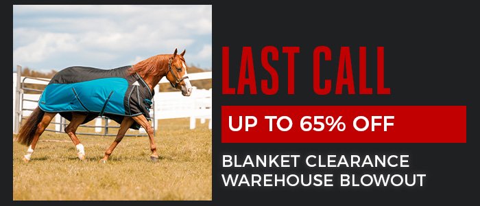 Horse Blankets & Sheets